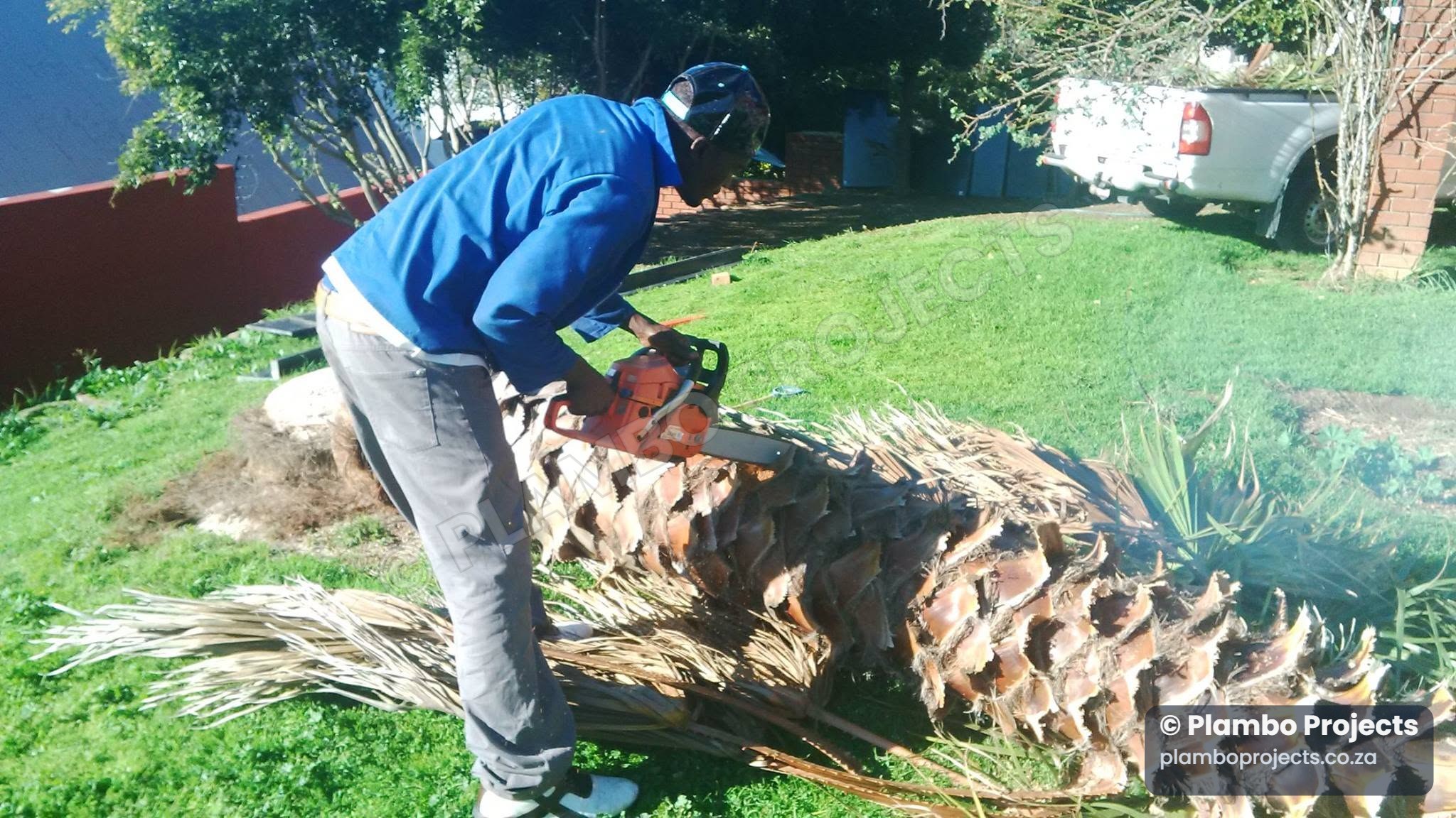 Plambo Projects gardening work in Cape Town